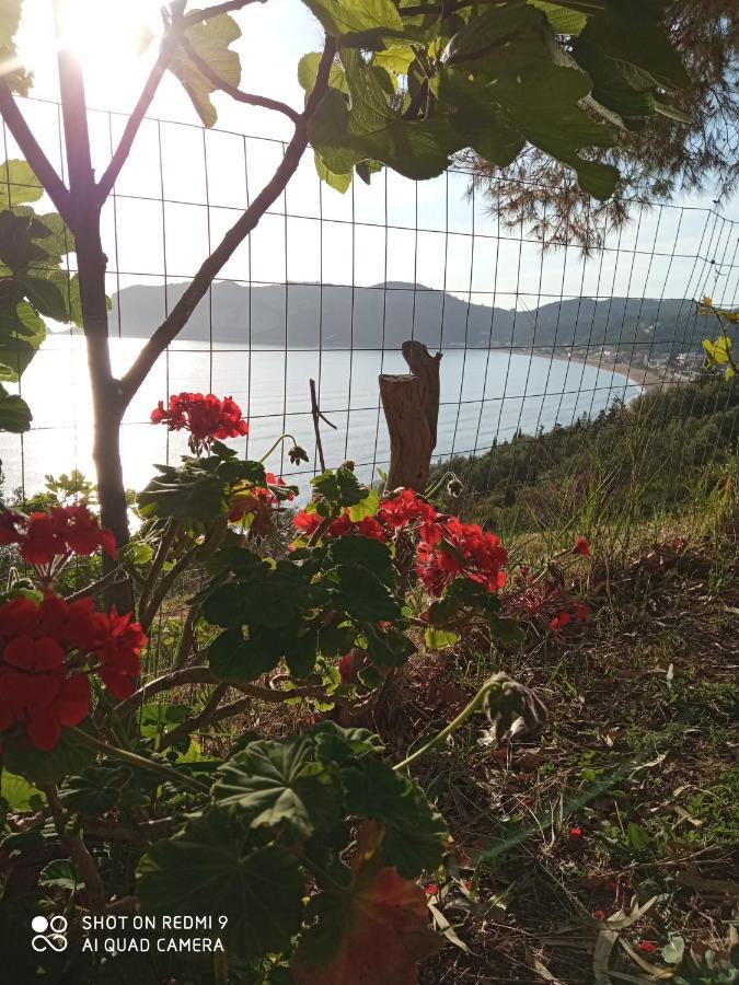 Cozy Apartment Few Mins From Beach Corfu Агиос-Георгиос-Пагон Экстерьер фото